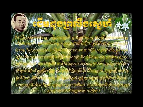 ដើម​ដូង​ព្រលឹង​ស្នេហ៍ - Daeum Dong Proloeng Sneh