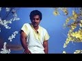 Tamil Songs | ஏதோ எண்ணம் வளர்த்தேன் | Yedhedho Ennam Valarthen | Ilaiyaraja Songs 