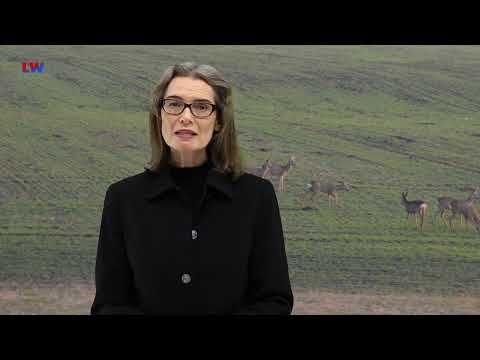 kommentiert: Tierische Nachbarschaft - LAUSITZWELLE