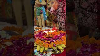 Download lagu tu hi jag janni hai maa🌿🙋‍♂️🙏 #song #music #love #hindudeity #flyxoeditz #matarani mp3