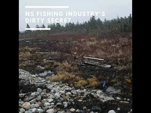 NS Fishing Industry's Dirty Secret...