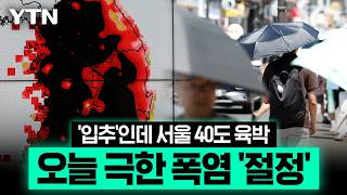 "내년엔 더 긴 여름"…폭염 '뉴노멀' 경고 [에디터픽] / YTN