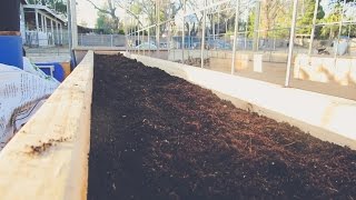 The BEST Soil Combination for RAISED GARDEN BEDS!