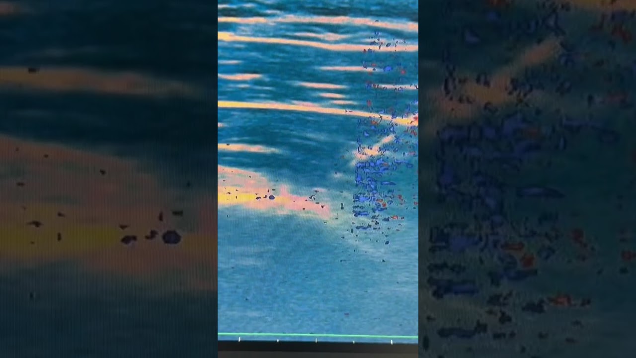 Roberto-Paolo Zambelli-23