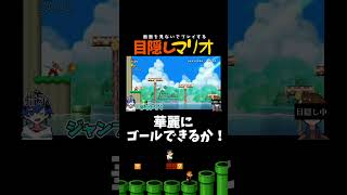 【目隠しマリオ】カッコつけてゴールしようとした結果ｗｗｗｗ