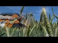 Percy Faith - Theme from a summerplace (The Ventures cover)