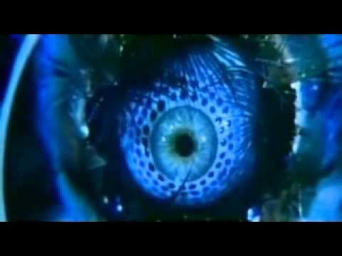 @ionbogdanstefanescu  IREVERSIBIL 2009 by AdrianEnescu