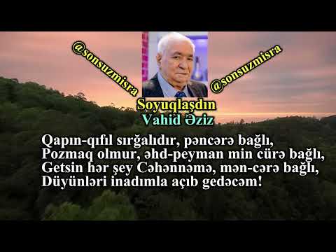 Soyuqlaşdın - Vahid Əziz