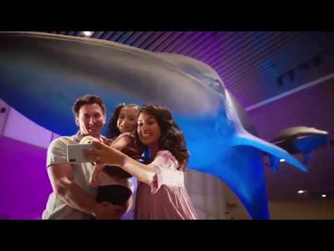 Aquarium of the Pacific Los Angeles Tickets - $12.50 image relating to Aquarium of the Pacific Coupons Printable titled Aquarium of the Pacific Los Angeles Tickets - $12.50