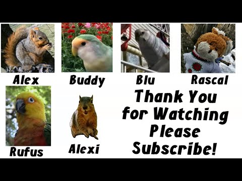 Life is Better with Friends With Hand