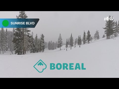 Sunrise Blvd at Boreal – Relaxed Beginner Run via Cedar Ridge