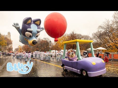 Bluey at Macy's 2024 🎈💙 | Parade Day Highlights featuring the Grannies! 👵 | Bluey