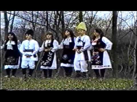 vlaske Pesme BOZIDAR MIJUCIC Pijekulje