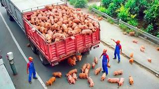 COMPLETOS IDIOTAS NO TRABALHO FLAGRADOS PELAS CÂMERAS