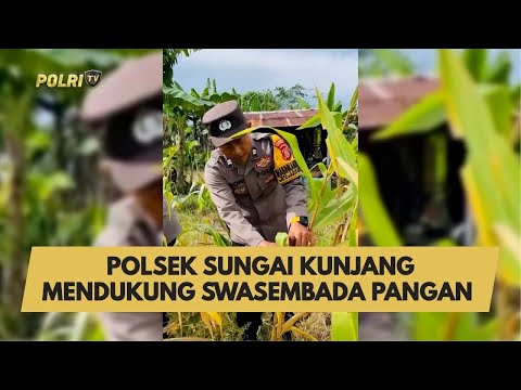 POLSEK SUNGAI KUNJANG MENDUKUNG SWASEMBADA PANGAN