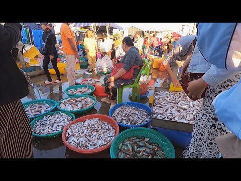Wet Market Scene Time 6:15AM with Distribution Site Fish in Phnom Penh City | Malen Daily Food
