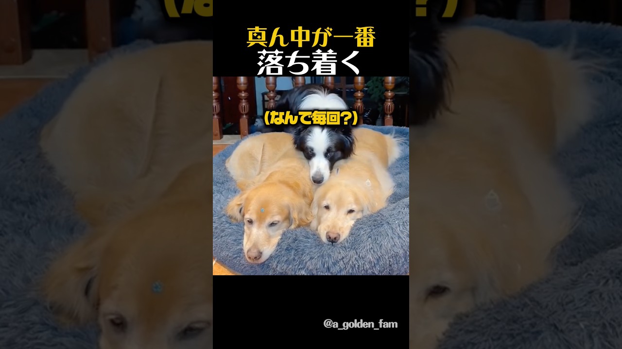 真ん中が一番落ち着く