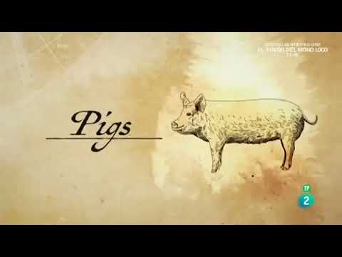 ANIMALES QUE CAMBIARON LA HISTORIA