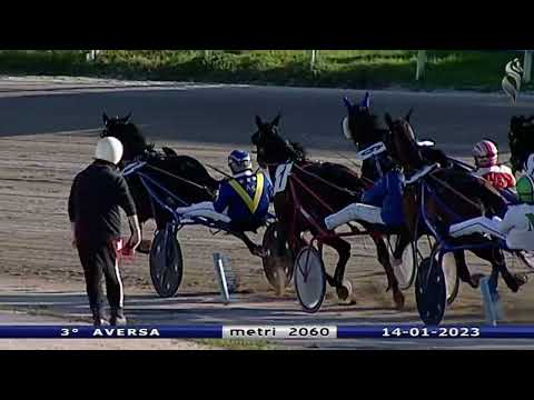 Aversa trotto 14 Gennaio 2023 - 3° Corsa