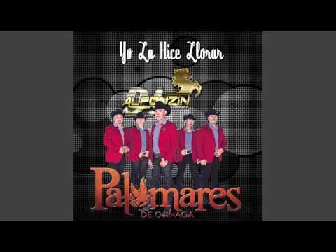 Palomares de Ojinaga - Yo la Hice Llorar ♪ 2016