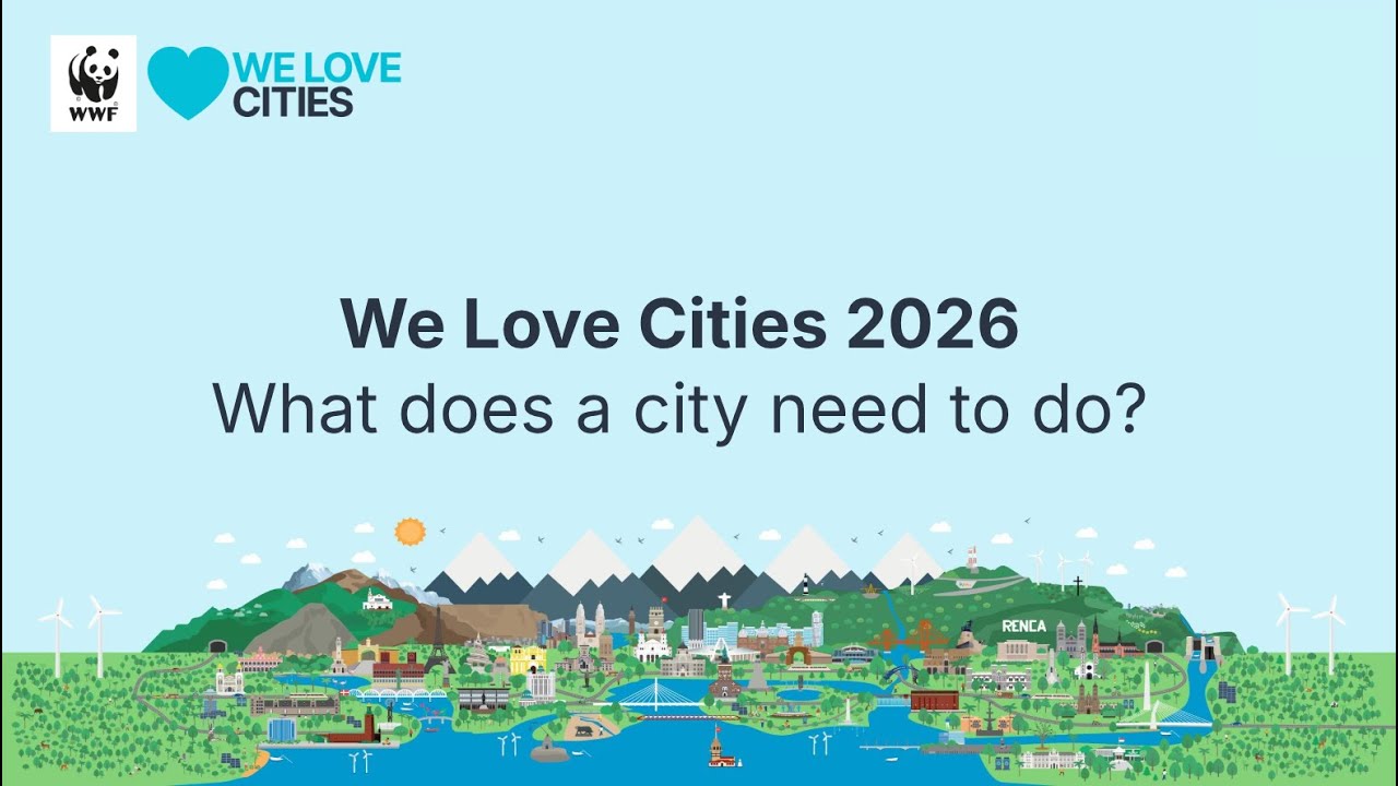What does a city need to do?