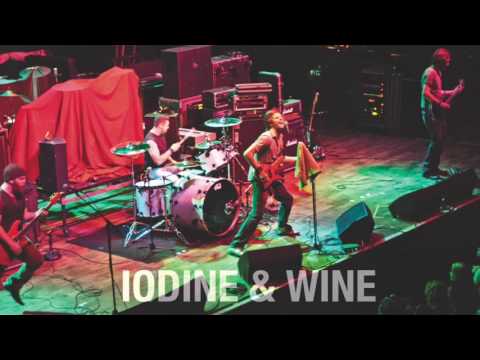Iodine & Wine - Ready the Cannons