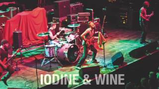 Iodine & Wine - Ready the Cannons