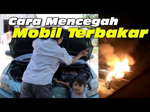 Mengurangi potensi di penyebab wanita Apa yang harus dilakukan jika Anda 16 dan Anda memiliki penis kecil