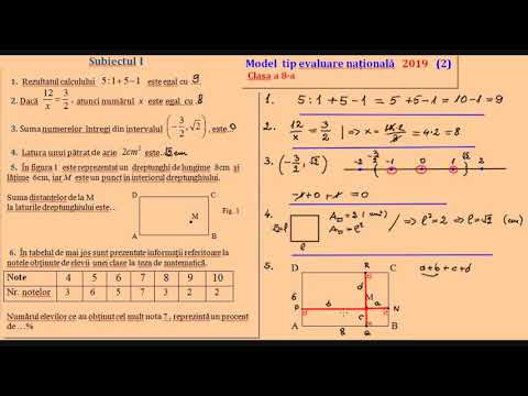 Model de subiect Evaluare Nationala 2019 (autor Poenaru Dan)