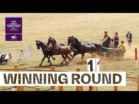 The Netherlands are nailing the FEI Driving Marathon! 🔨🇳🇱 | FEI Driving World Championship 2022