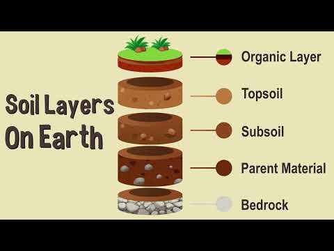 Soil Layers on Earth