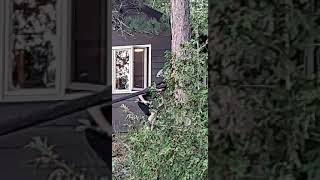 Epic burp shuts up sister