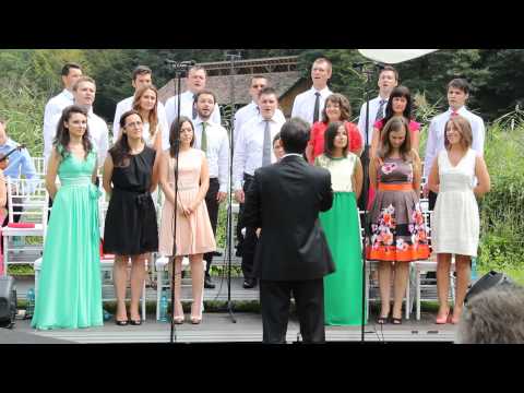 Domnu-i Maret - Grupul Voces