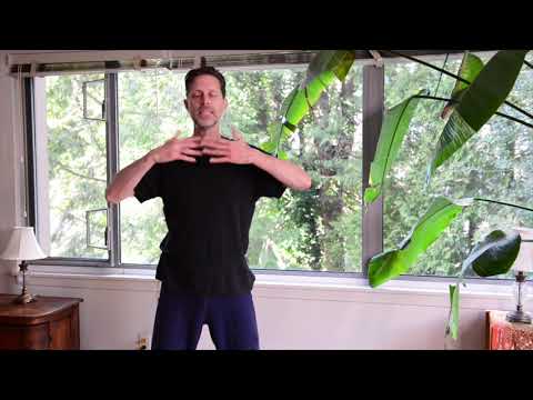 Lung Organ Massage for vital Lung Qi