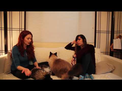 Nili & Gretchen - Muses and Musings Podcast, Episode 2