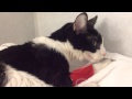 TooTHLESS TuX IN THE HOSPITAL TODAY