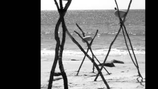 Colin Stetson Installation Piece