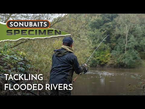 Floodwater Barbel Tips! | Harry Pardoe