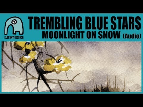 TREMBLING BLUE STARS - Moonlight On Snow [Audio]