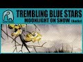 TREMBLING BLUE STARS - Moonlight On Snow [Audio]