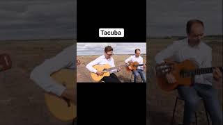 Download lagu Nouveau clip du groupe Guitario 'Tacuba'. Nouvel album 'Blue Road #blueroad #guitario #music #tacuba mp3
