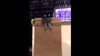 7/9/15- Special Guest: Walter the Walrus!!