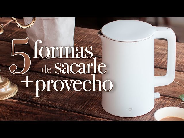 Vídeo relacionado con LEBENLANG Hervidor agua electrico pequeño de acero inoxidable - 500ml & sin BPA I 600W Calentador de agua blanco para viajar I Electric kettle Tetera Pava electrica Chaleira Jarra eléctrico Calentar