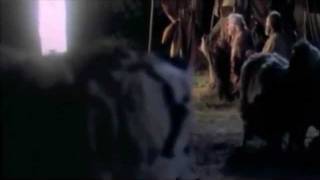 It Came Upon The Midnight Clear - Mormon Tabernacle Choir