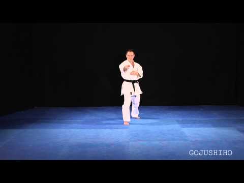 Shito Ryu Shukokai Gojushiho Rear View