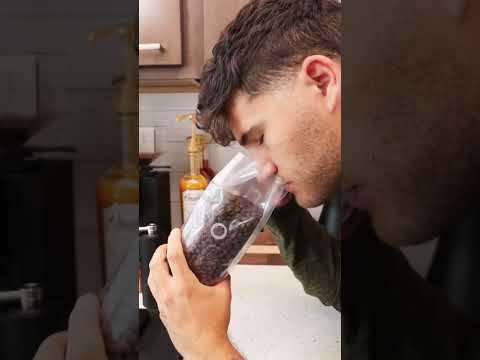 O que procurar nos grãos de café #coffee