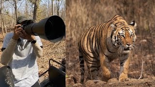 Wildlife Photography Vlog - Tiger, Leopard and Birds!