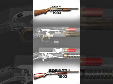 Shotgun : Ithaca 37 x Browning Auto-5