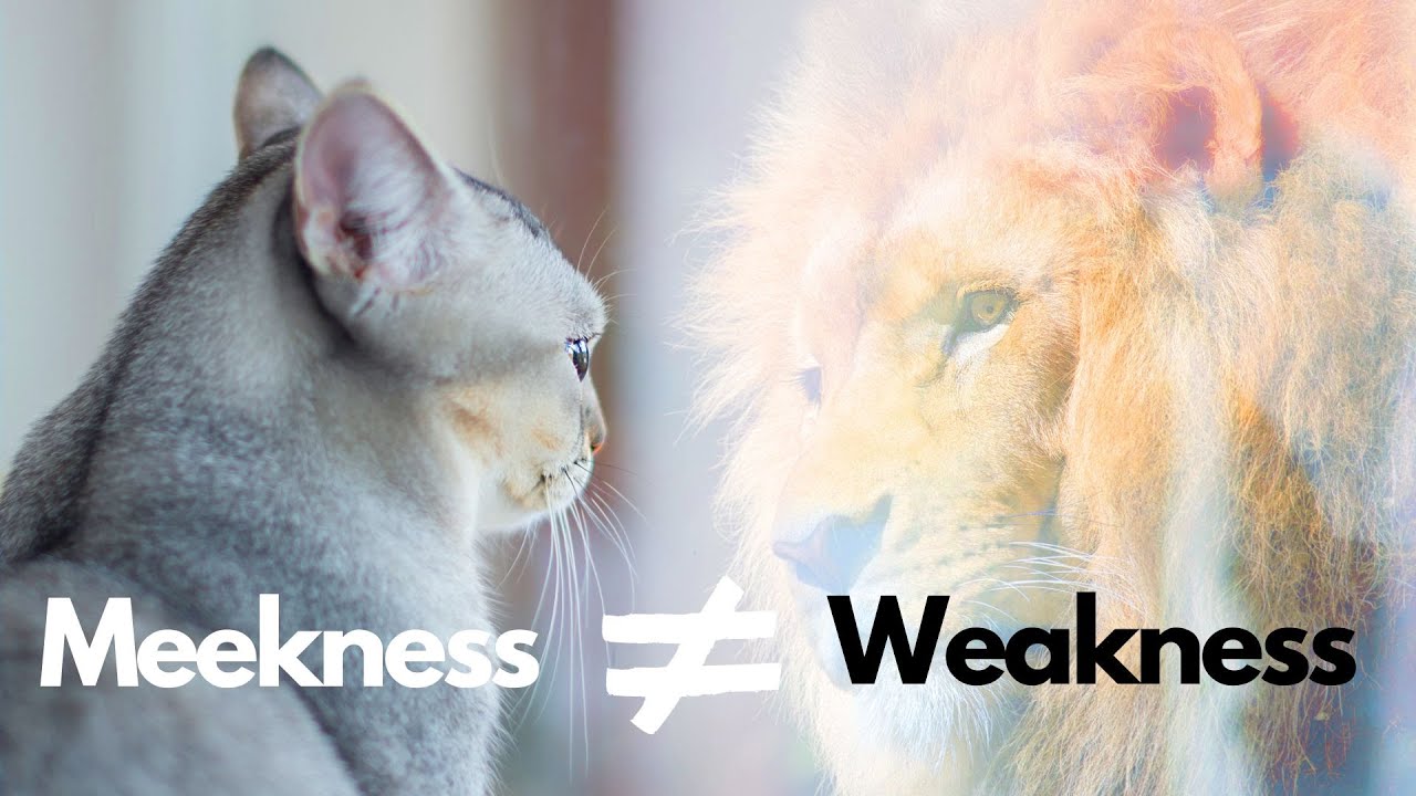 Why Meekness is NOT Weakness - Matthew 5:5