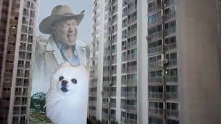 Download lagu 야아아아아아아아아아아 개 짖는 소리 좀 안나게 해라 | Big Enough mp3